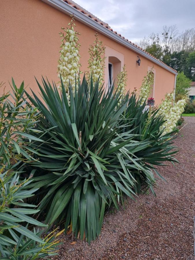 Le Logis Du Marais Bed & Breakfast Les Magnils-Reigniers Eksteriør bilde